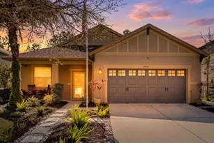 20900 Oldenburg Loop, Mount Dora, FL 32757 - Photo 2