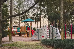 20900 Oldenburg Loop, Mount Dora, FL 32757 - Photo 40