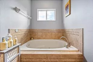 5066 Rishley Run Way, Mount Dora, FL 32757 - Photo 26