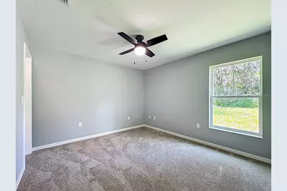 919 Cr 482C, Lake Panasoffkee, FL 33538 - Photo 24