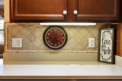 98 Mockingbird Lane, Eustis, FL 32726 - Photo 20