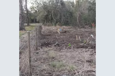 0 Alturas Babson Park Cutoff Road #Lot 78, Bartow, FL 33830 - Photo 10