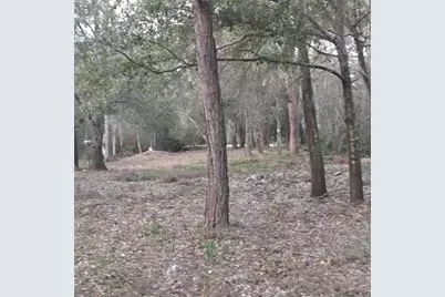0 Alturas Babson Park Cutoff Road #Lot 78, Bartow, FL 33830 - Photo 6