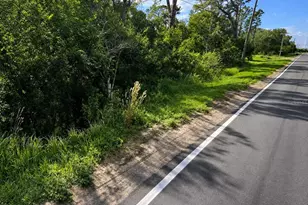 Alturas Babson Park Cutoff Rd, Bartow, FL 33830 - Photo 1