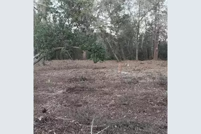 0 Alturas Babson Park Cutoff Road #Lot 78, Bartow, FL 33830 - Photo 8