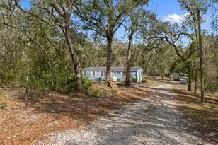 11881 SW 45th St, Webster, FL 33597 - Photo 4
