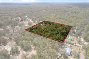 11881 SW 45th St, Webster, FL 33597 - Photo 26