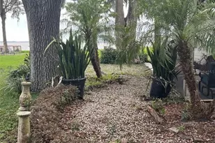 195 Mae St, Eustis, FL 32726 - Photo 14