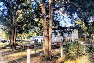 5990 NE 37th St, Silver Springs, FL 34488 - Photo 2