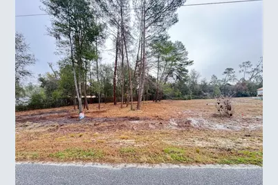 Palm Street, Paisley, FL 32767 - Photo 1