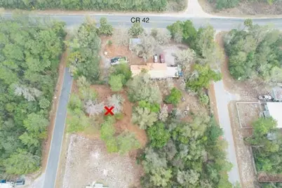 Palm Street, Paisley, FL 32767 - Photo 2