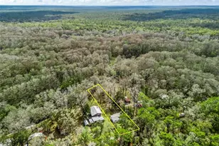 8935 Cr 647s, Bushnell, FL 33513 - Photo 24