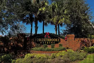 3190 Farland Dr, Ocoee, FL 34761 - Photo 48