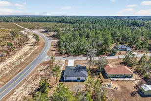 16 Malauka Ln Dr, Ocklawaha, FL 32179 - Photo 8