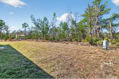 16 Malauka Lane Drive, Ocklawaha, FL 32179 - Photo 4