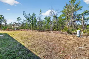 16 Malauka Ln Dr, Ocklawaha, FL 32179 - Photo 4