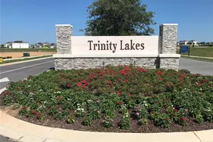 1805 Heart Lk Dr, Groveland, FL 34736 - Photo 22