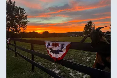 1636 Lake Ella Road, Fruitland Park, FL 34731 - Photo 68