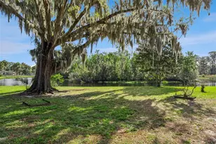 709 Lakeshore Dr, Eustis, FL 32726 - Photo 12