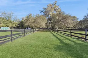 43411 State Road 19, Altoona, FL 32702 - Photo 36