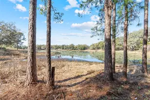 36035 E Spring Lake Blvd, Fruitland Park, FL 34731 - Photo 62