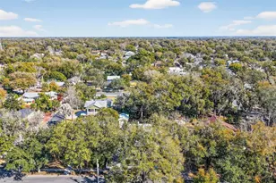 932 N McDonald St, Mount Dora, FL 32757 - Photo 48