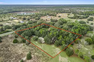 2351 SE 114 Ave, Morriston, FL 32668 - Photo 52