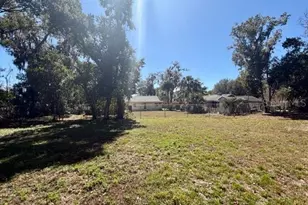 704 W 11th Ave, Mount Dora, FL 32757 - Photo 18