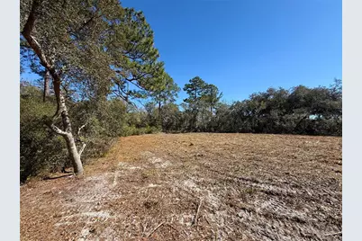 Lot 11 Poinciana Street, Eustis, FL 32736 - Photo 8