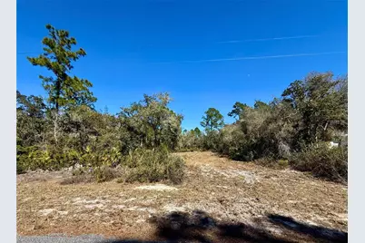 Lot 11 Poinciana Street, Eustis, FL 32736 - Photo 6