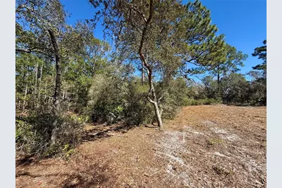 Lot 11 Poinciana Street, Eustis, FL 32736 - Photo 10