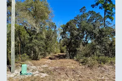 Lot 11 Poinciana Street, Eustis, FL 32736 - Photo 4