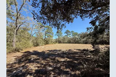 Lot 11 Poinciana Street, Eustis, FL 32736 - Photo 20