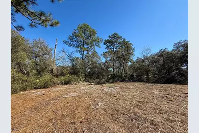 Lot 11 Poinciana Street, Eustis, FL 32736 - Photo 12