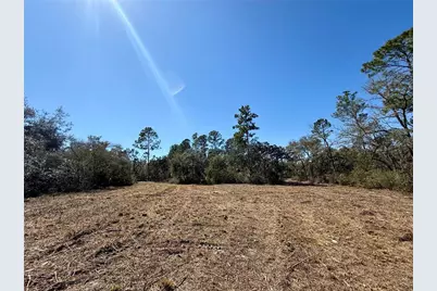 Lot 11 Poinciana Street, Eustis, FL 32736 - Photo 14