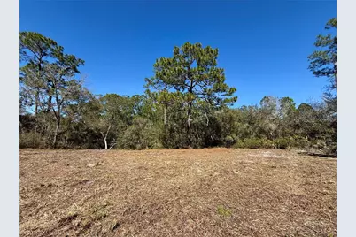 Lot 11 Poinciana Street, Eustis, FL 32736 - Photo 2