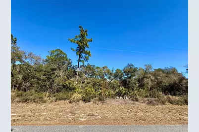 Lot 11 Poinciana Street, Eustis, FL 32736 - Photo 6