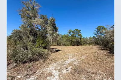 Lot 11 Poinciana Street, Eustis, FL 32736 - Photo 4