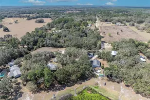 9043 SE 180th Ave, Ocklawaha, FL 32179 - Photo 48