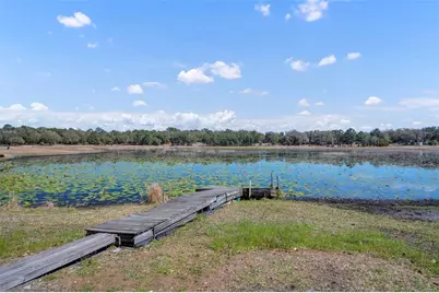 9043 SE 180th Ave, Ocklawaha, FL 32179 - Photo 4