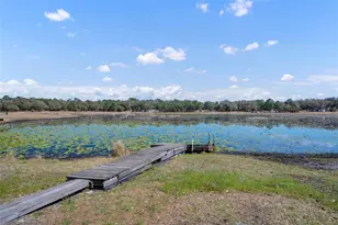 9043 SE 180th Ave, Ocklawaha, FL 32179 - Photo 4