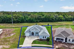 3954 Kennebunk Loop, Mount Dora, FL 32757 - Photo 58