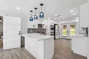 118 N Grandview St, Mount Dora, FL 32757 - Photo 8