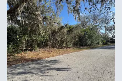 Cr 482C, Lake Panasoffkee, FL 33538 - Photo 2