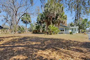 1201 Sunshine Ave, Leesburg, FL 34748 - Photo 12