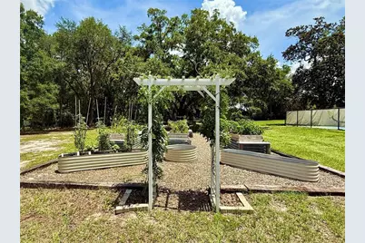 3607 Umbrella Tree Lane, Oxford, FL 34484 - Photo 50