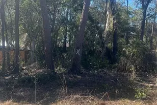 W Second Ave, Umatilla, FL 32784 - Photo 1