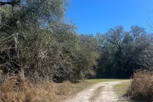 Stinson St, Leesburg, FL 34748 - Photo 1