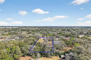 32239 Wolf Branch Ln, Sorrento, FL 32776 - Photo 46