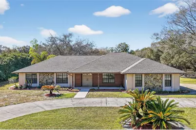 32239 Wolf Branch Lane, Sorrento, FL 32776 - Photo 2